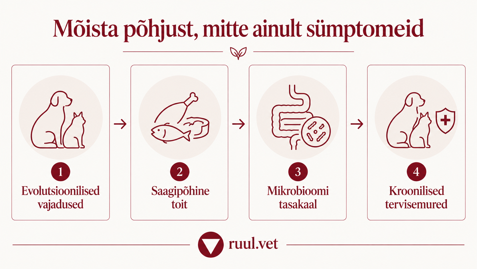 Skeem ruul.vet artiklite neljast põhiteemast: evolutsioonilised vajadused, saagipõhine toit, mikrobioomi tasakaal ja kroonilised tervisemured.