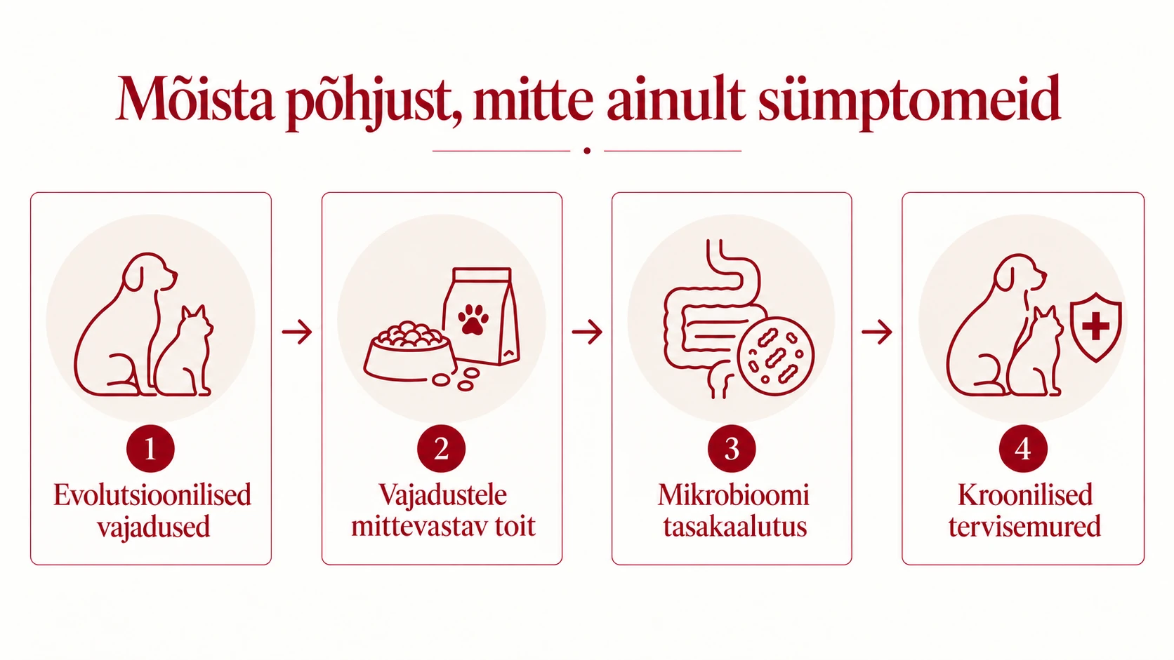 Skeem: evolutsioonilised vajadused, vajadustele mittevastav toit, mikrobioomi tasakaalutus ja kroonilised tervisemured