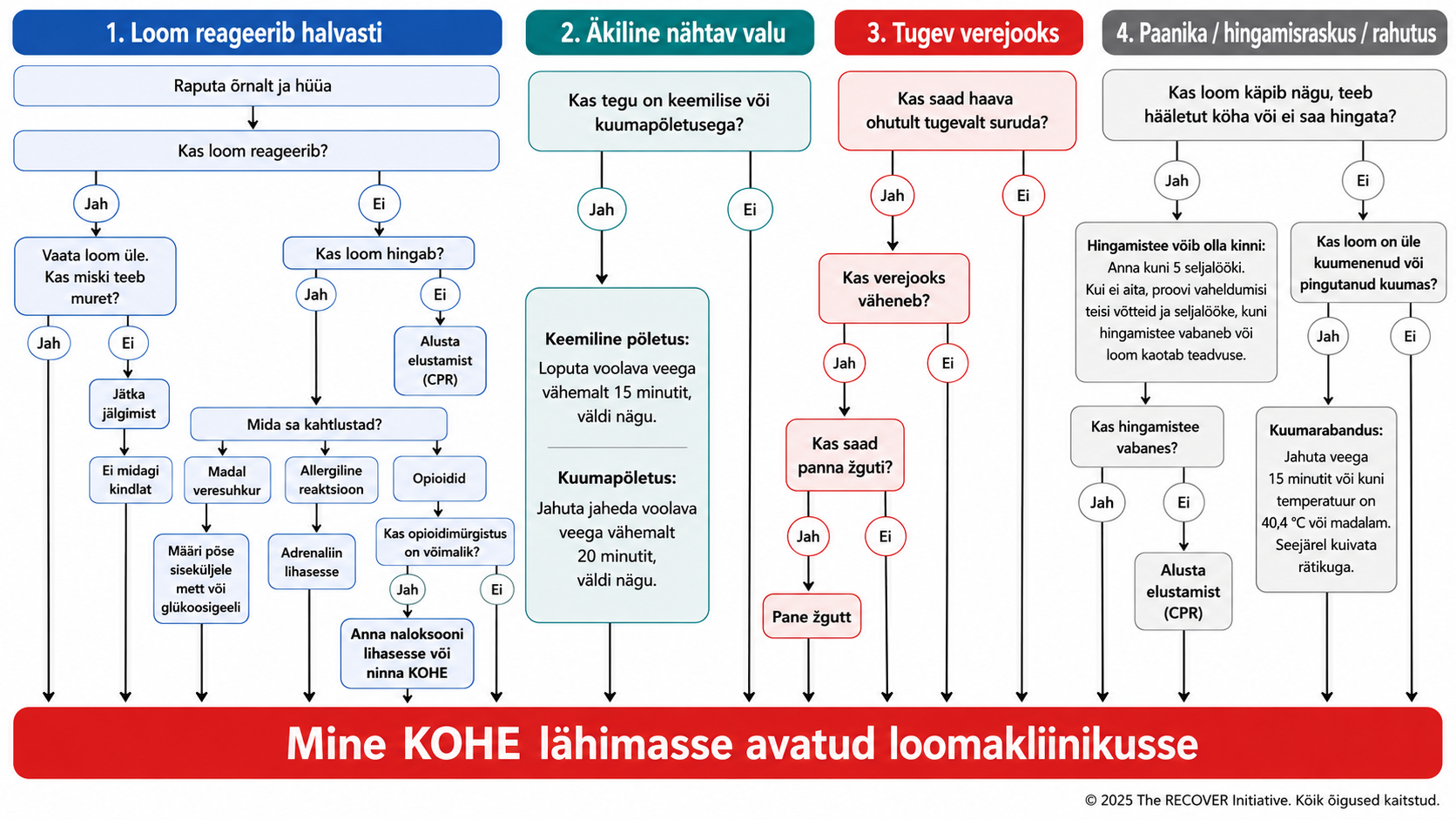 Koera ja kassi esmaabi otsustuspuu RECOVER 2026 juhiste põhjal